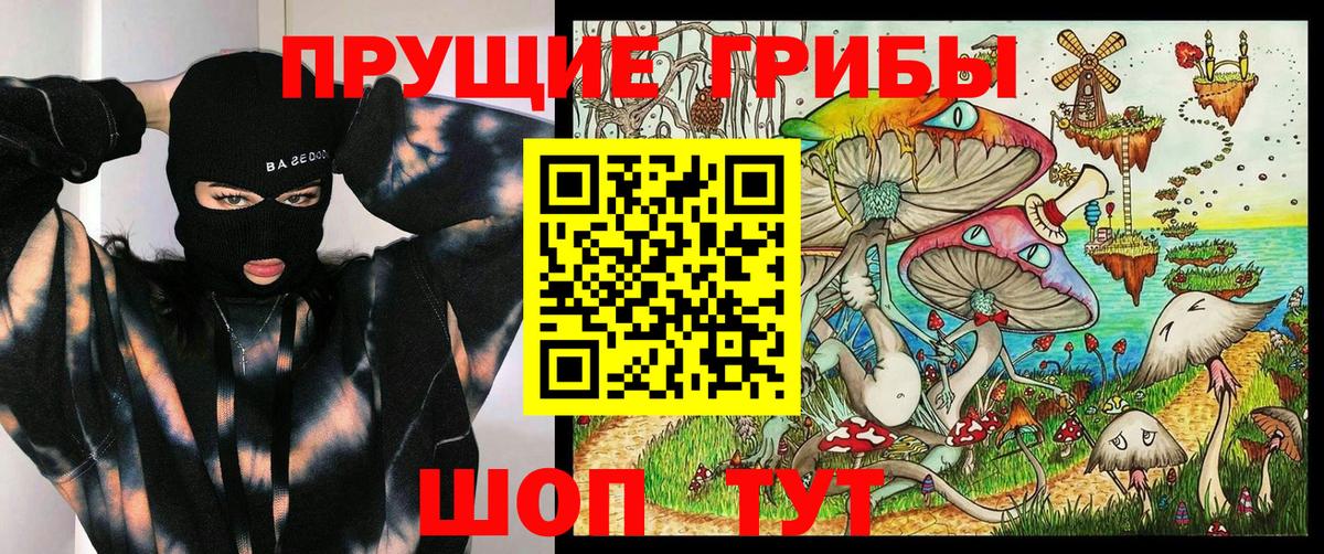 Псилоцибиновые грибы Psilocybine cubensis Кострома