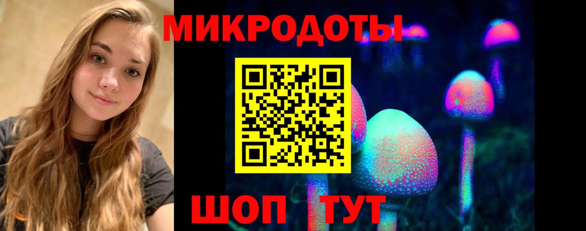 Псилоцибиновые грибы MAGIC MUSHROOMS  Вход с VPN  где купить наркотик  Кострома 